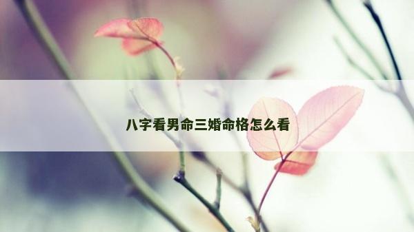 八字看男命三婚命格怎么看