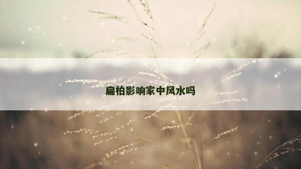 扁柏影响家中风水吗