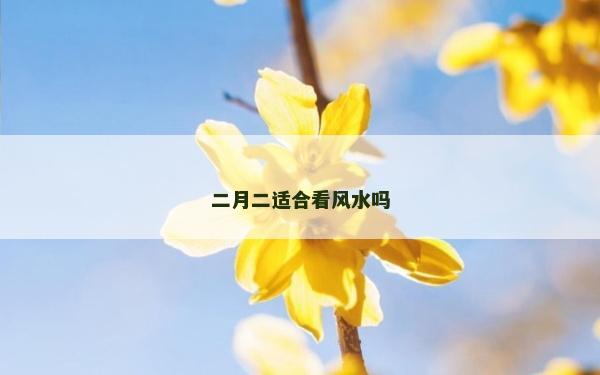 二月二适合看风水吗