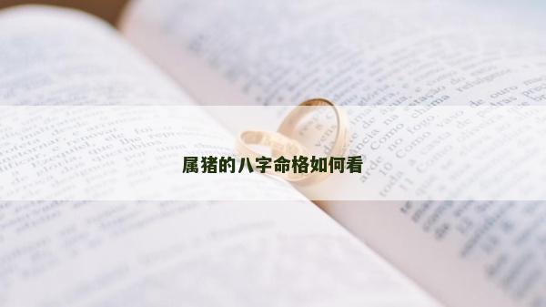 属猪的八字命格如何看