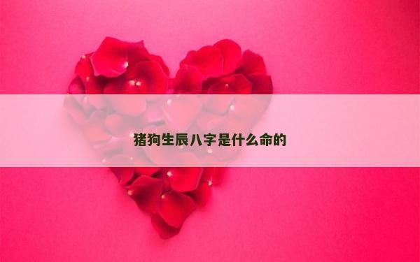 猪狗生辰八字是什么命的