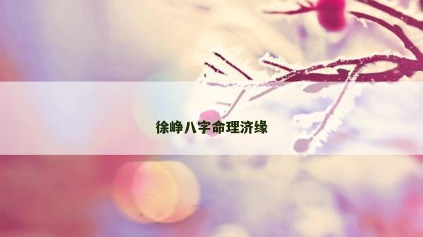 徐峥八字命理济缘