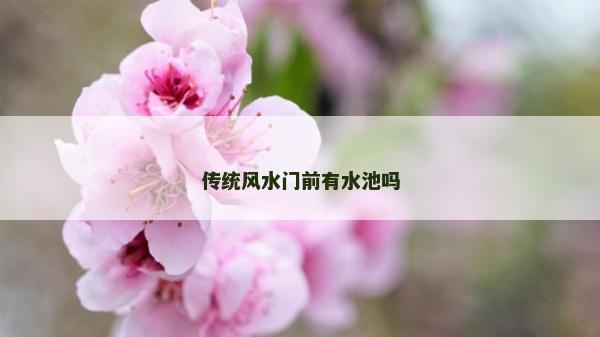 传统风水门前有水池吗