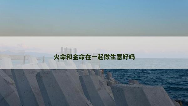 火命和金命在一起做生意好吗