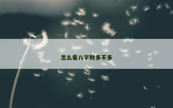 怎么看八字财多不多