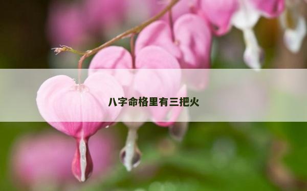 八字命格里有三把火