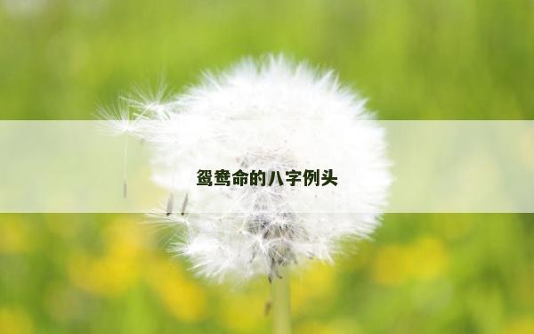 鸳鸯命的八字例头
