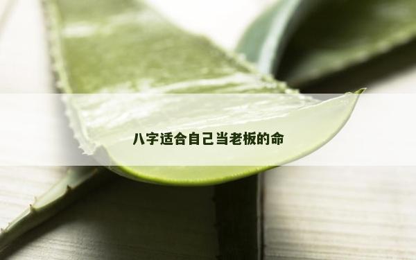 八字适合自己当老板的命