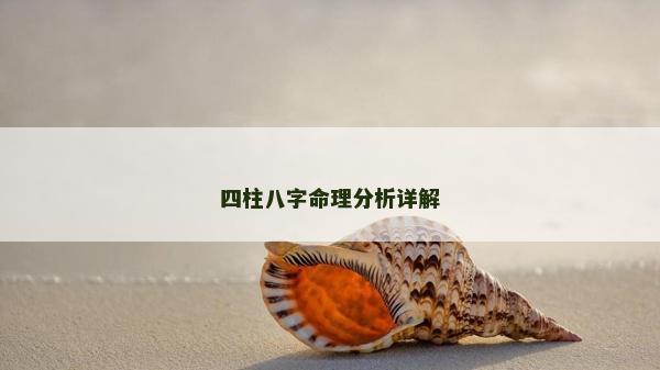 四柱八字命理分析详解