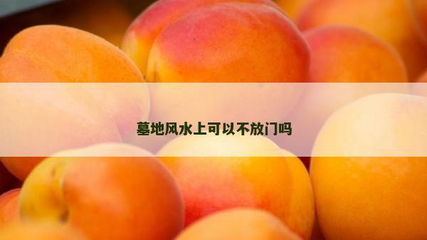 墓地风水上可以不放门吗