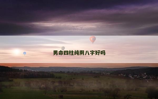 男命四柱纯阴八字好吗