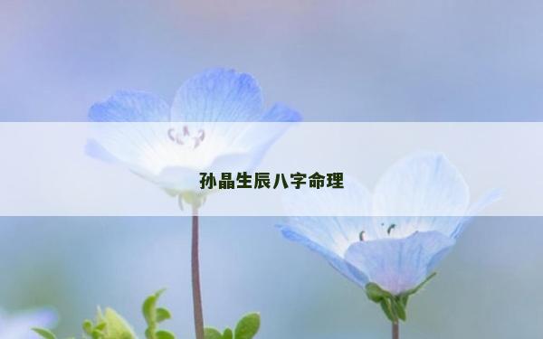 孙晶生辰八字命理