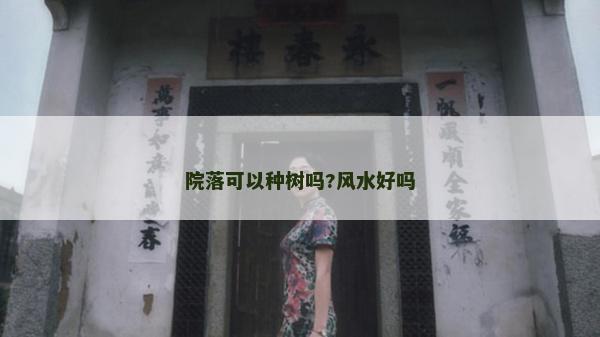 院落可以种树吗?风水好吗
