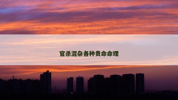 官杀混杂各种贵命命理