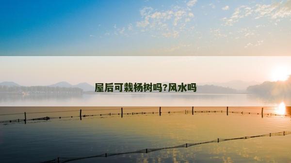 屋后可栽杨树吗?风水吗