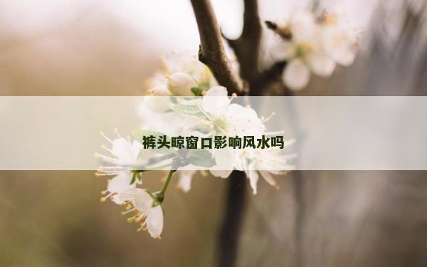 裤头晾窗口影响风水吗