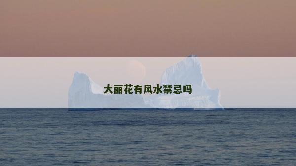 大丽花有风水禁忌吗