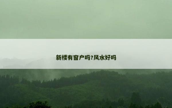 新楼有窗户吗?风水好吗