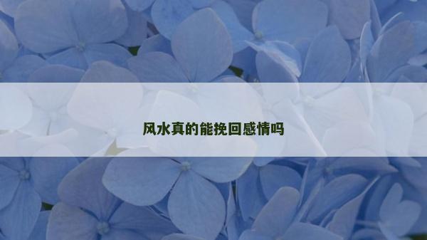 风水真的能挽回感情吗