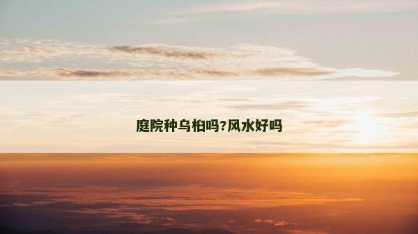 庭院种乌桕吗?风水好吗