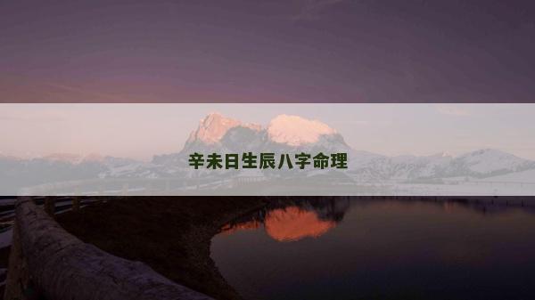 辛未日生辰八字命理