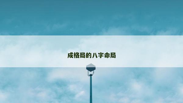 成格局的八字命局
