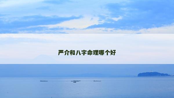 严介和八字命理哪个好