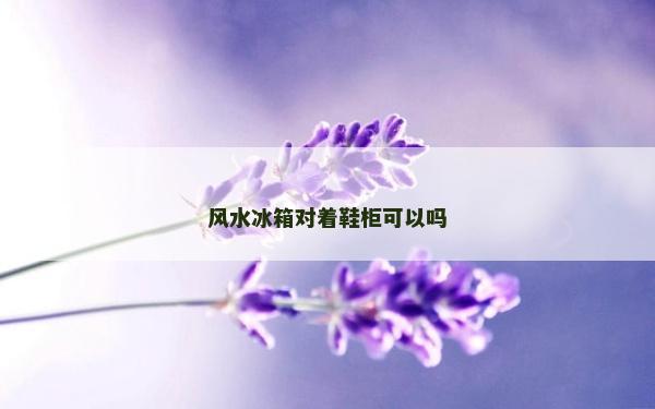 风水冰箱对着鞋柜可以吗