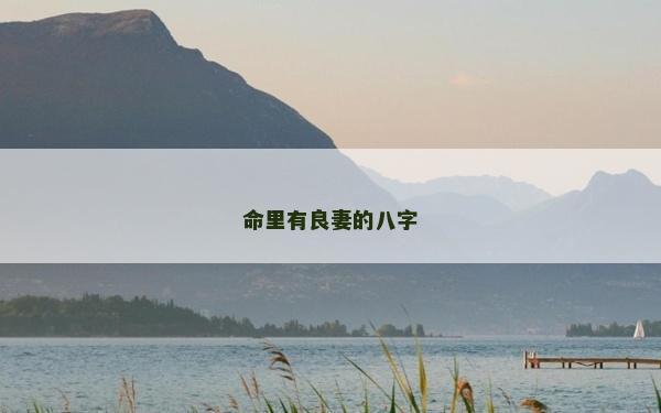 命里有良妻的八字