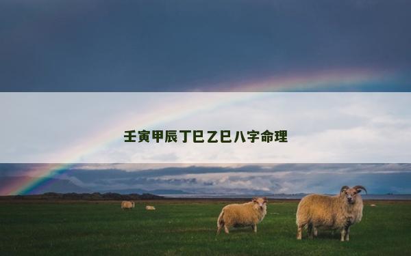 壬寅甲辰丁巳乙巳八字命理