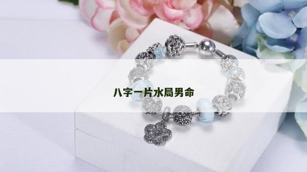 八字一片水局男命