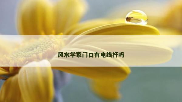 风水学家门口有电线杆吗