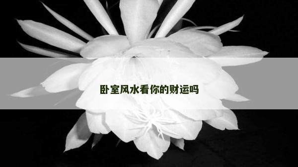 卧室风水看你的财运吗