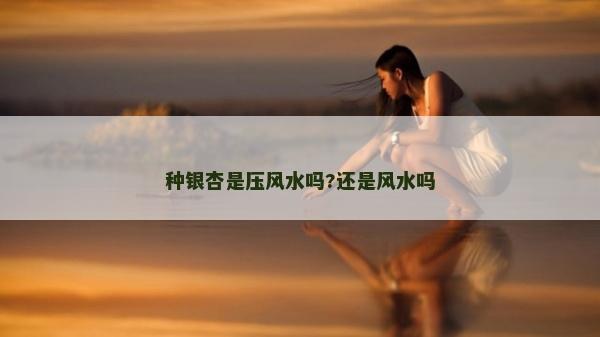 种银杏是压风水吗?还是风水吗