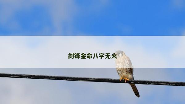 剑锋金命八字无火