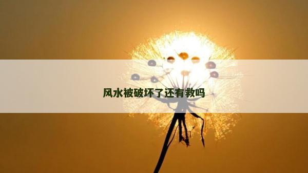 风水被破坏了还有救吗