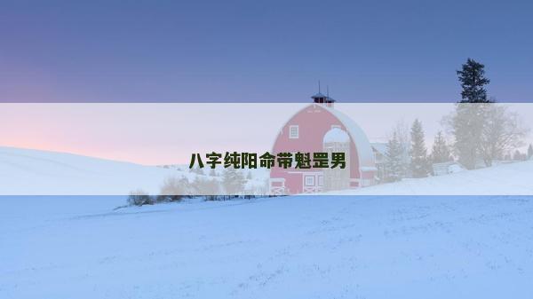 八字纯阳命带魁罡男