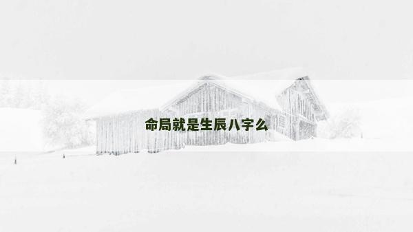 命局就是生辰八字么