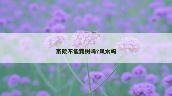 家院不能栽树吗?风水吗