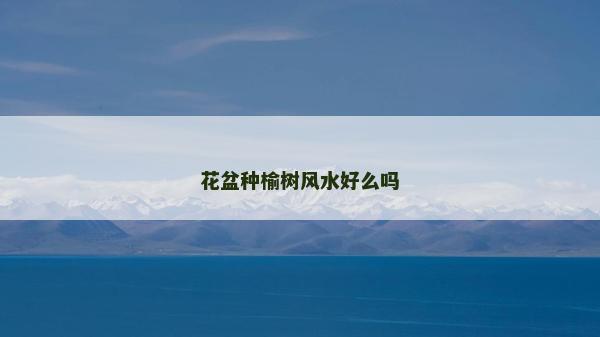 花盆种榆树风水好么吗
