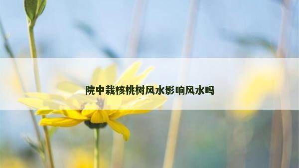 院中栽核桃树风水影响风水吗
