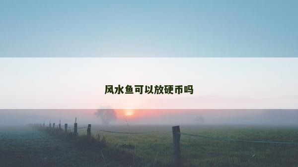 风水鱼可以放硬币吗