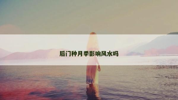 后门种月季影响风水吗