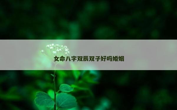 女命八字双辰双子好吗婚姻
