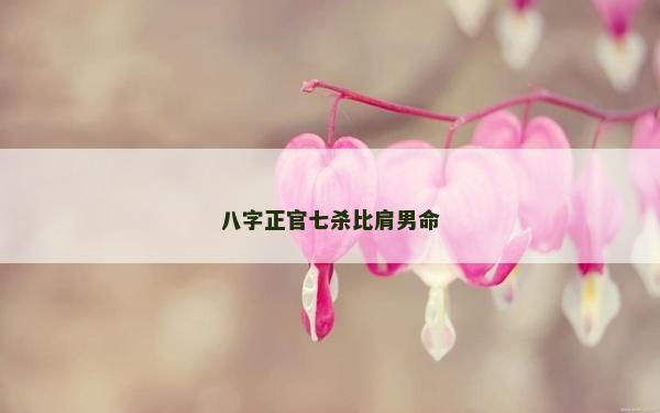 八字正官七杀比肩男命