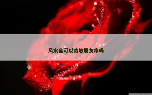 风水鱼可以寄放朋友家吗