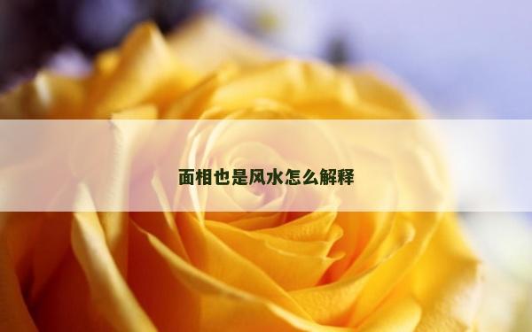 面相也是风水怎么解释
