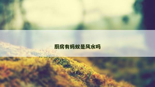 厨房有蚂蚁是风水吗
