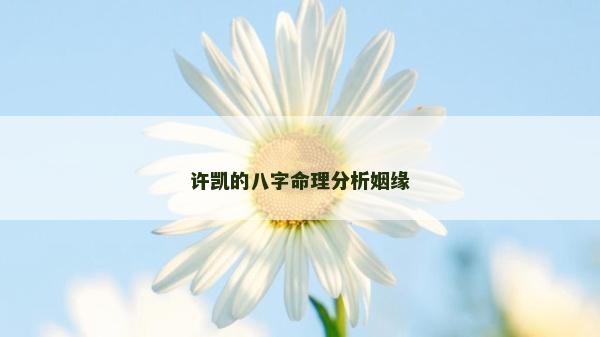 许凯的八字命理分析姻缘