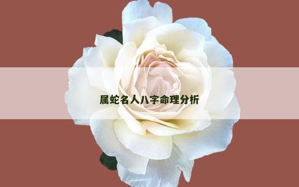 属蛇名人八字命理分析